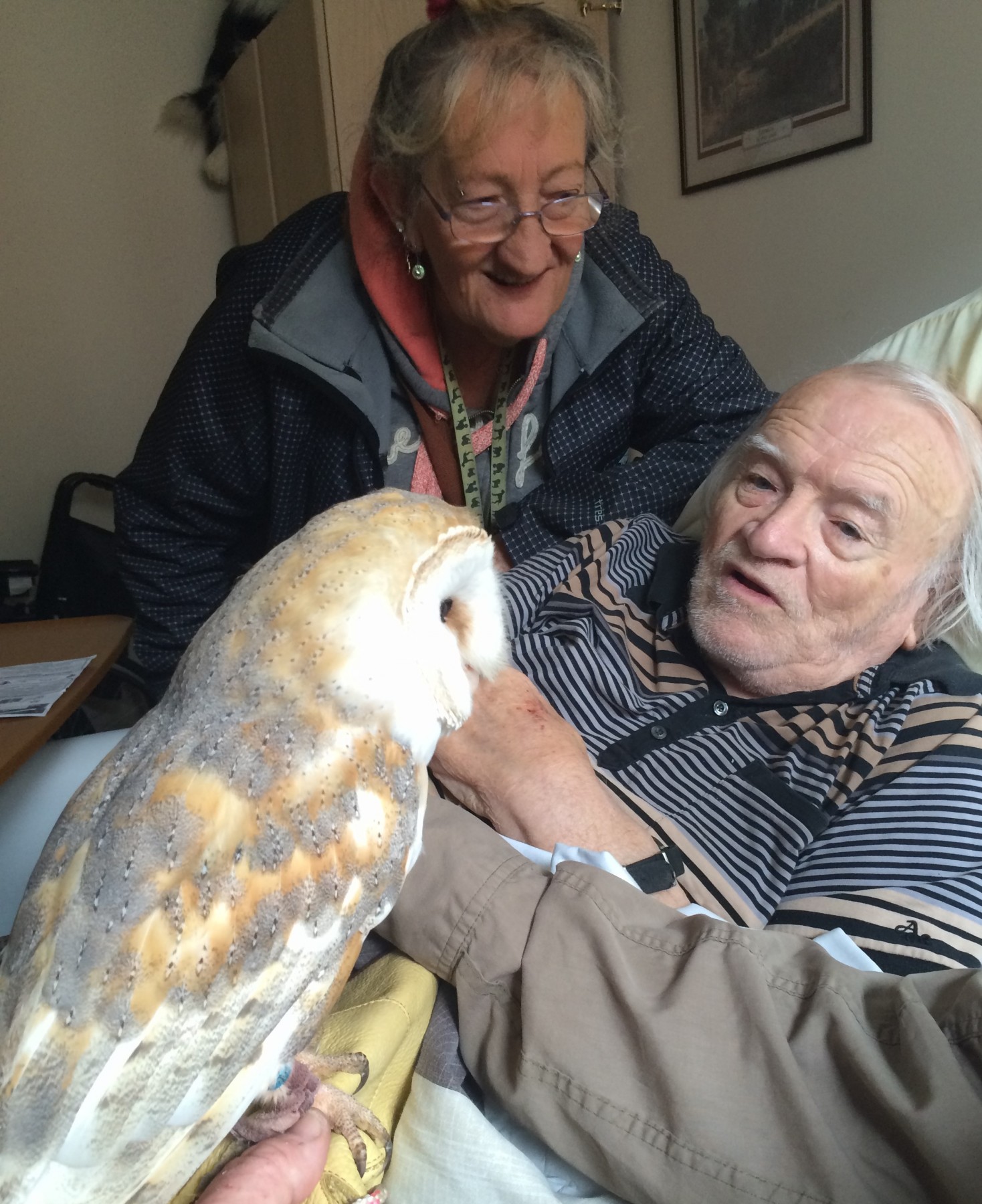 Owl is a hoot at Weymouth Care Home