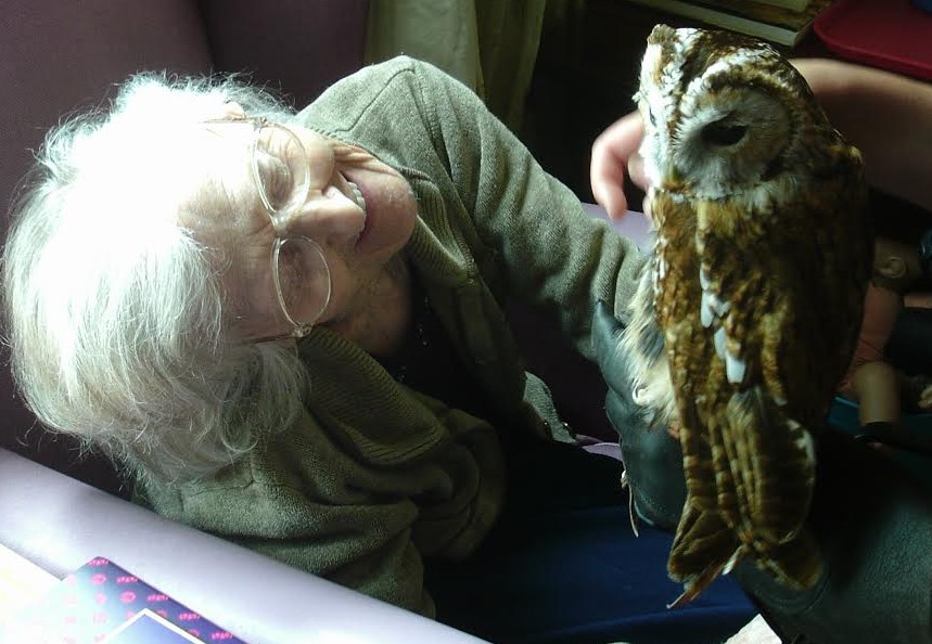 It’s a hoot at Sherborne House
