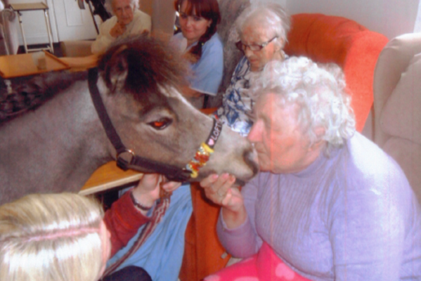 Furry Friends at Weymouth Care Home