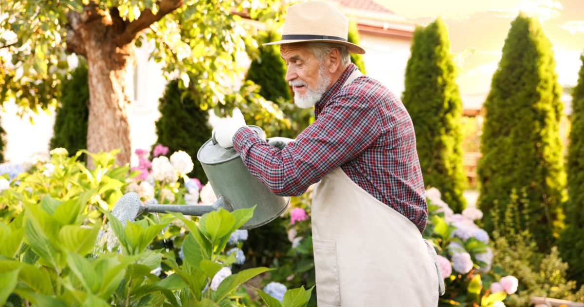 Still Enjoying the Things You Love: Hobbies, Reading and Pastimes in Later Life